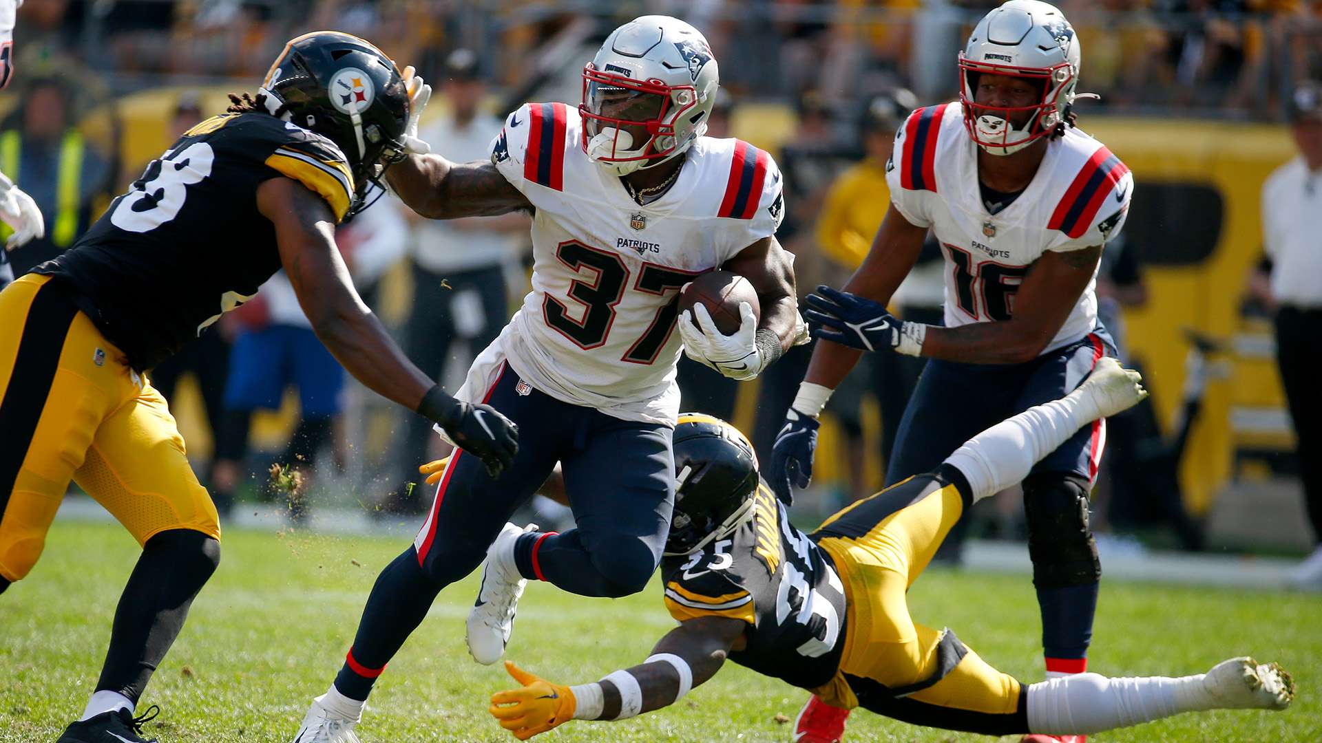 搏都蕴含着 搏都蕴含着